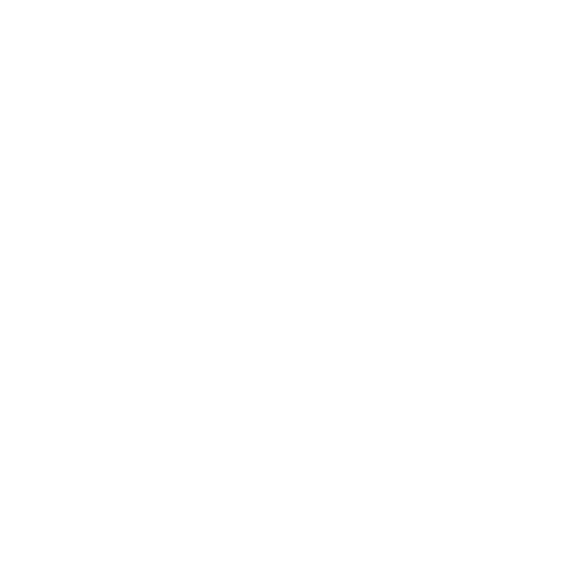 Aki Logo